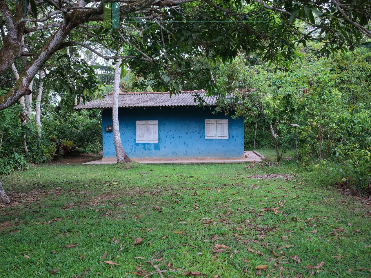 Elevated paddy view land near the coast in Midigama