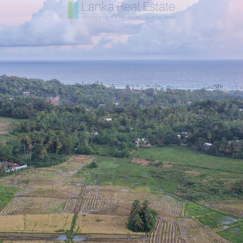 Elevated paddy view land near the coast in Midigama