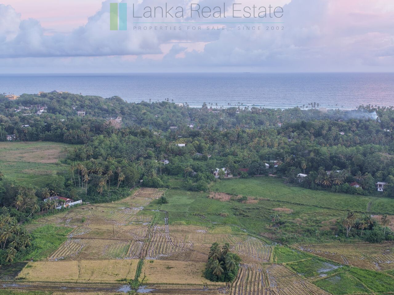Elevated paddy view land near the coast in Midigama