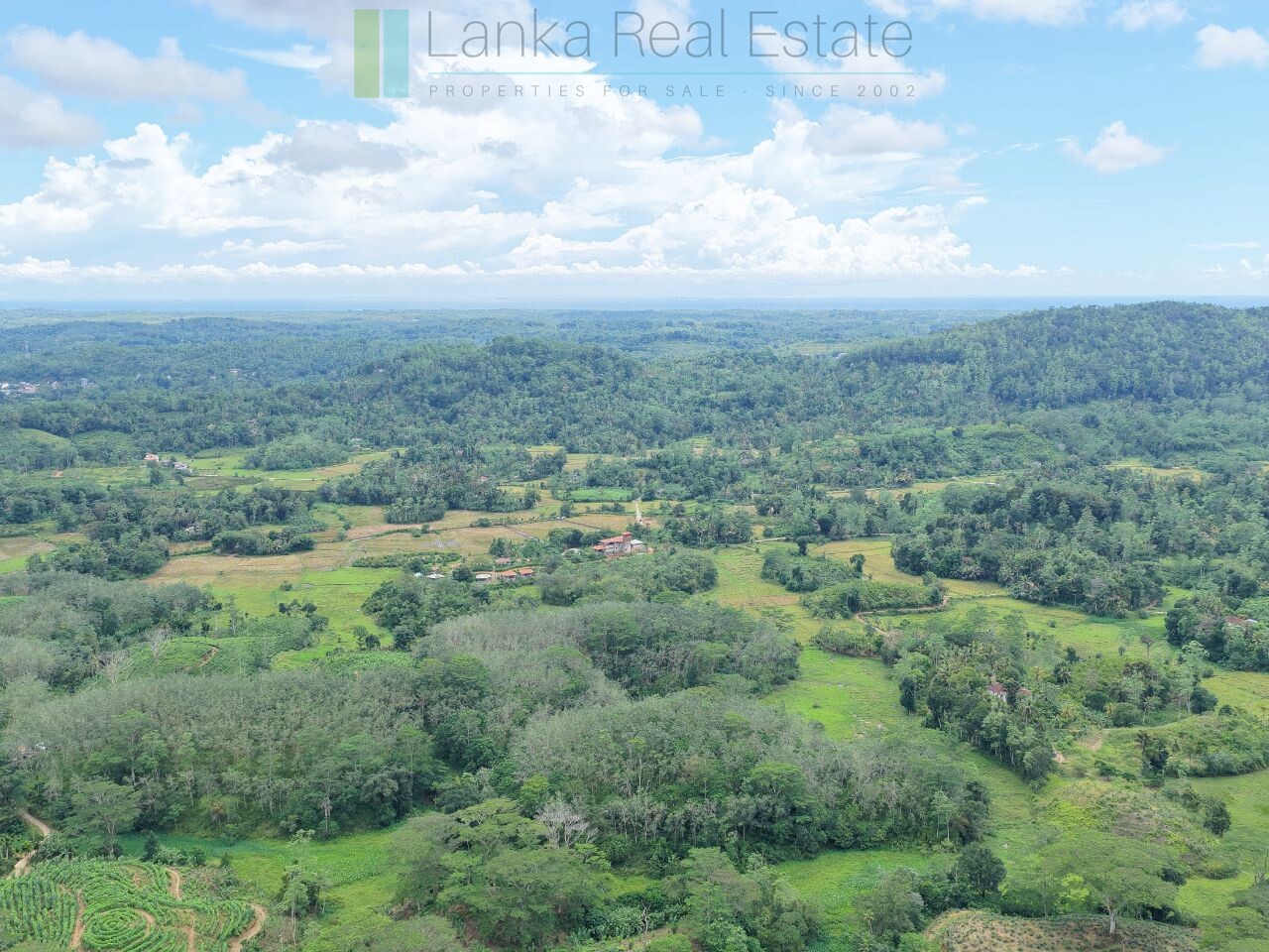 Thirteen acres with tea near Galle