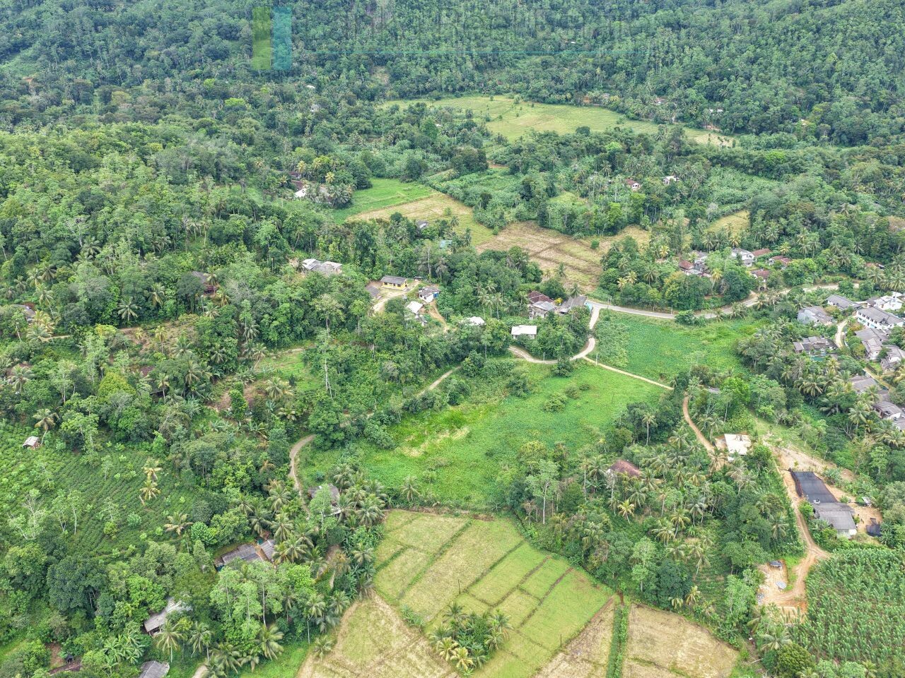 Thirteen acres with tea near Galle
