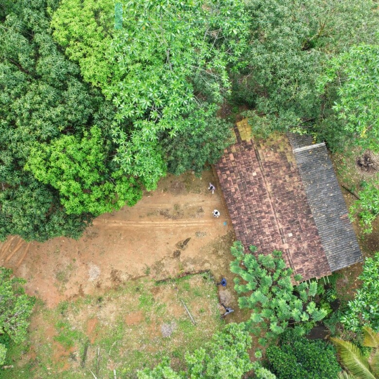 Thirteen acres with tea near Galle