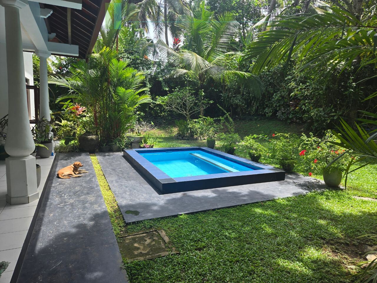 Furnished villa near the beach in Hikkaduwa